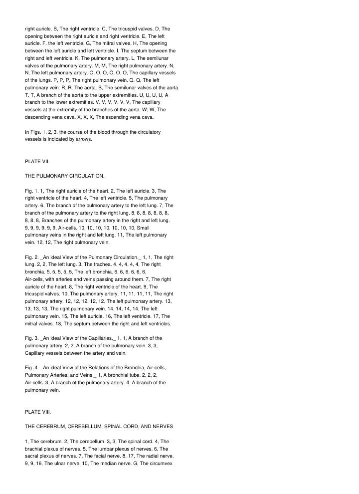 Page 295