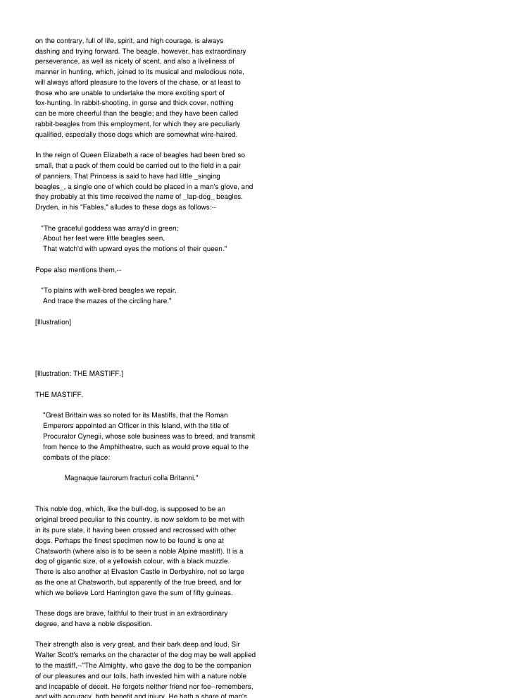 Page 219