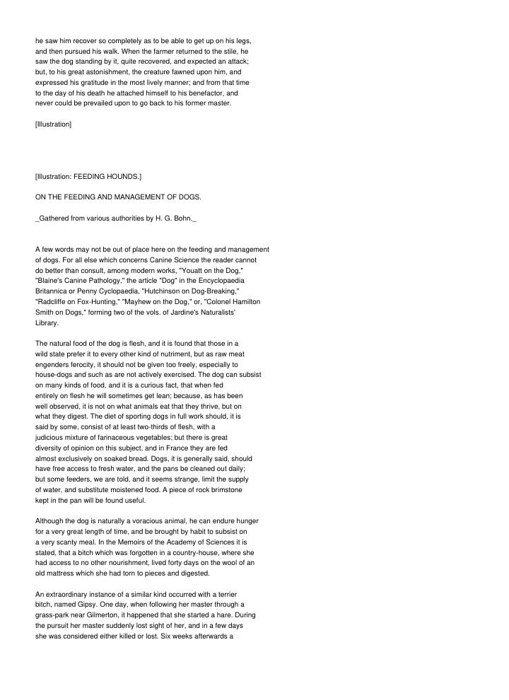 Page 239