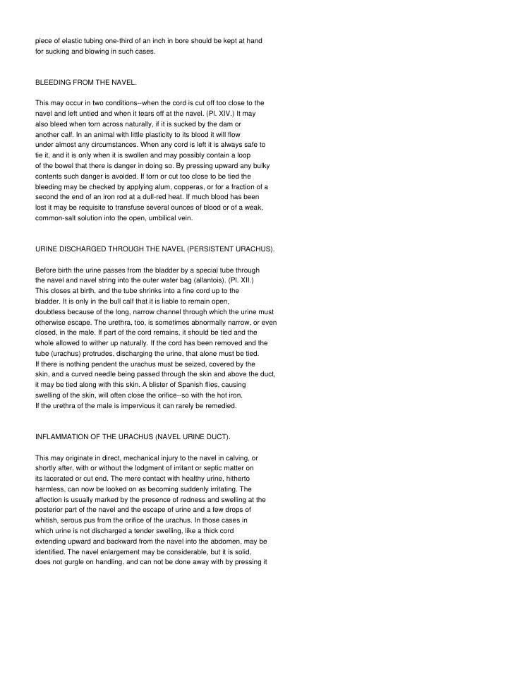 Page 233
