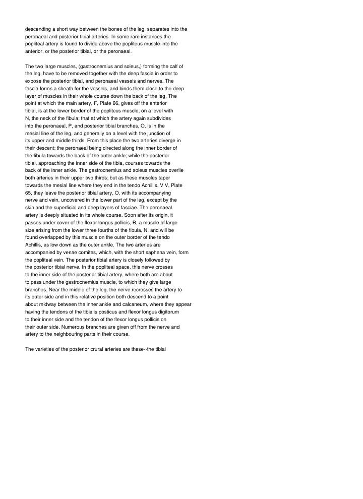 Page 207
