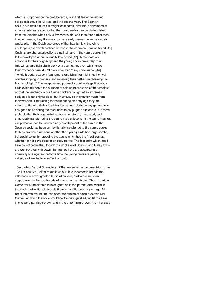 Page 232