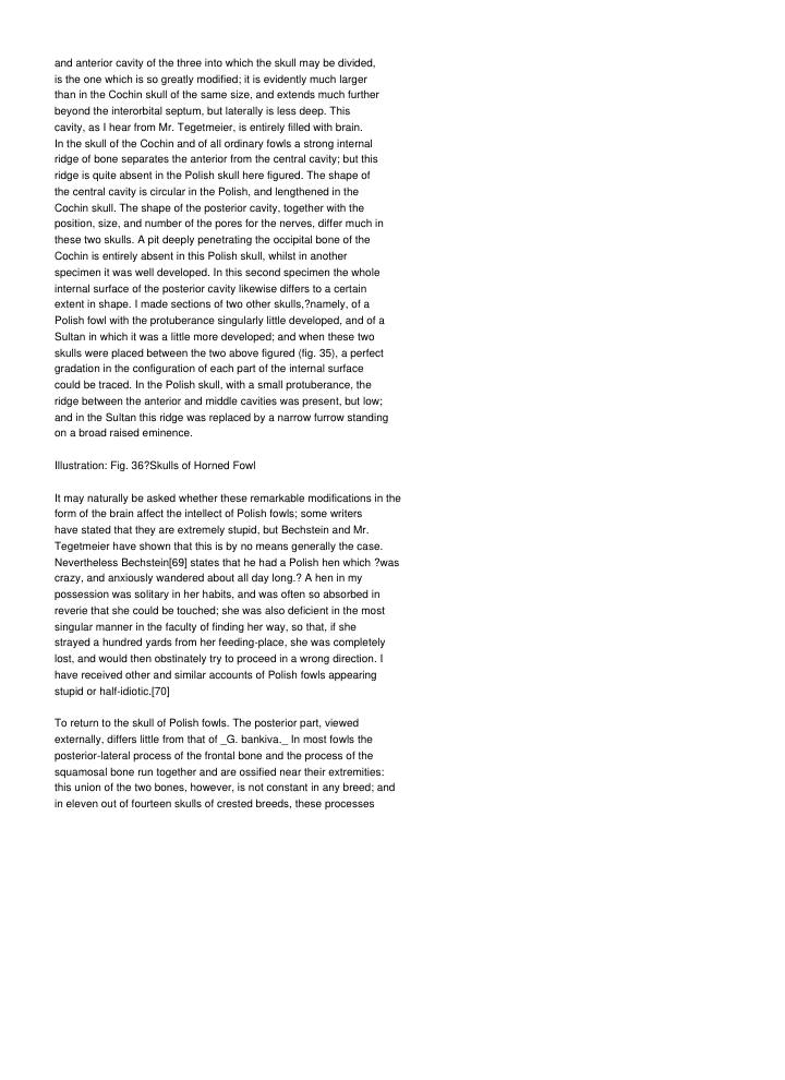 Page 242