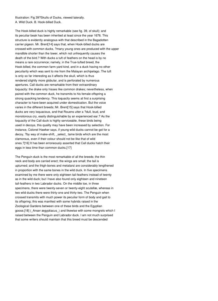 Page 262